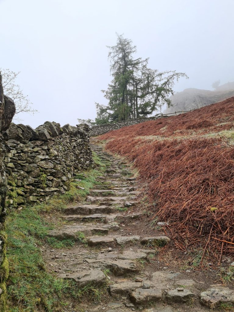 A series of stone steps coming down from Nab Scar