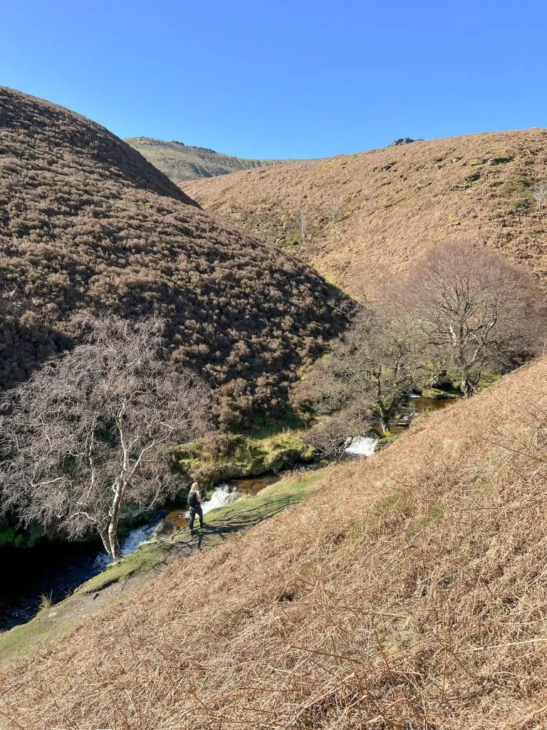 A waterfall in Fair Brook