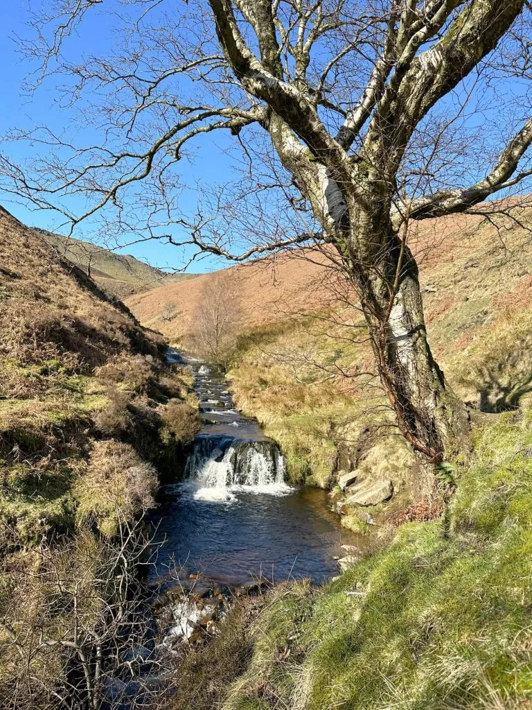 A waterfall in Fair Brook