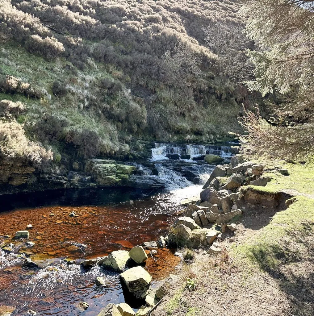A waterfall in Snake Woodlands
