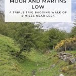 Pinterest image for 3 Trig Point Walk - Soles Hill, Grindon Moor and Martins Low - The Wandering Wildflower