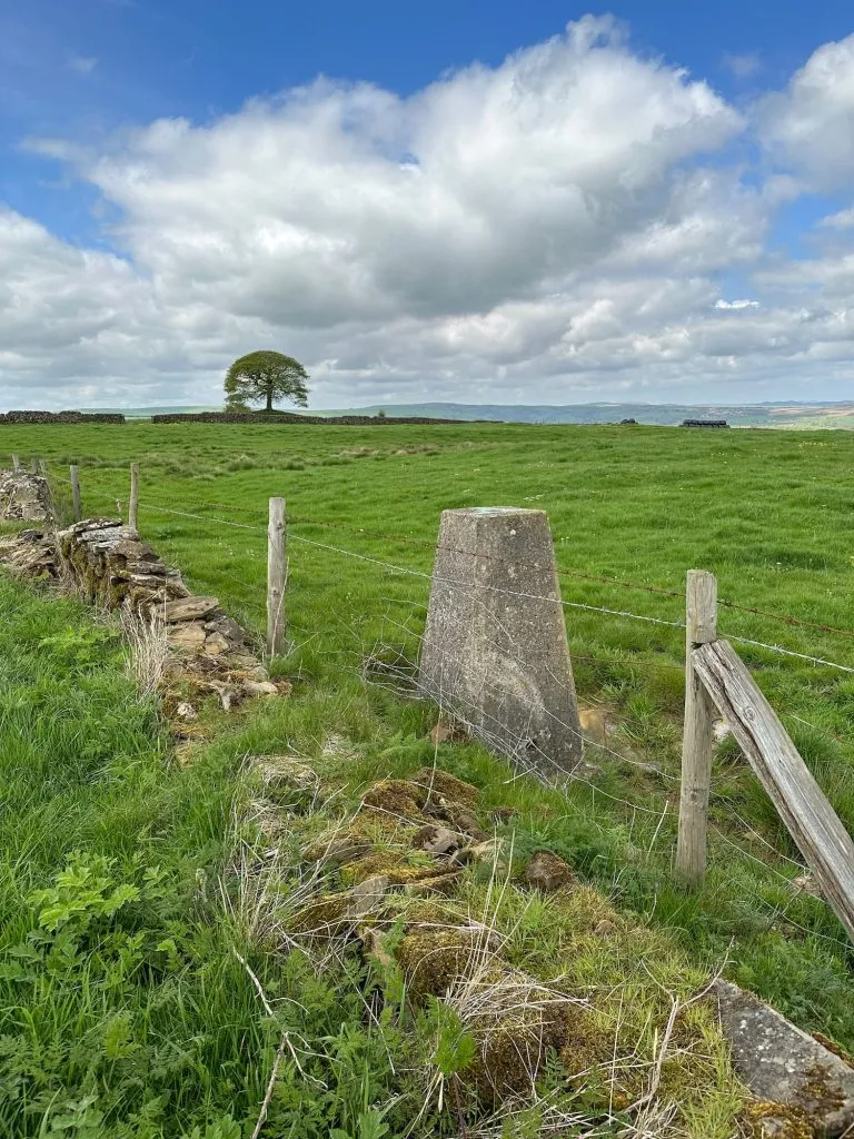 Grindon Moor trig point, a grey concrete pillar