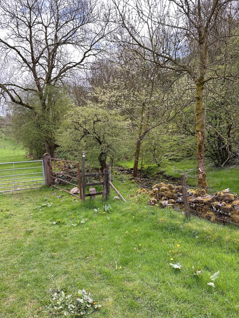 A wooden stile leading to woodland