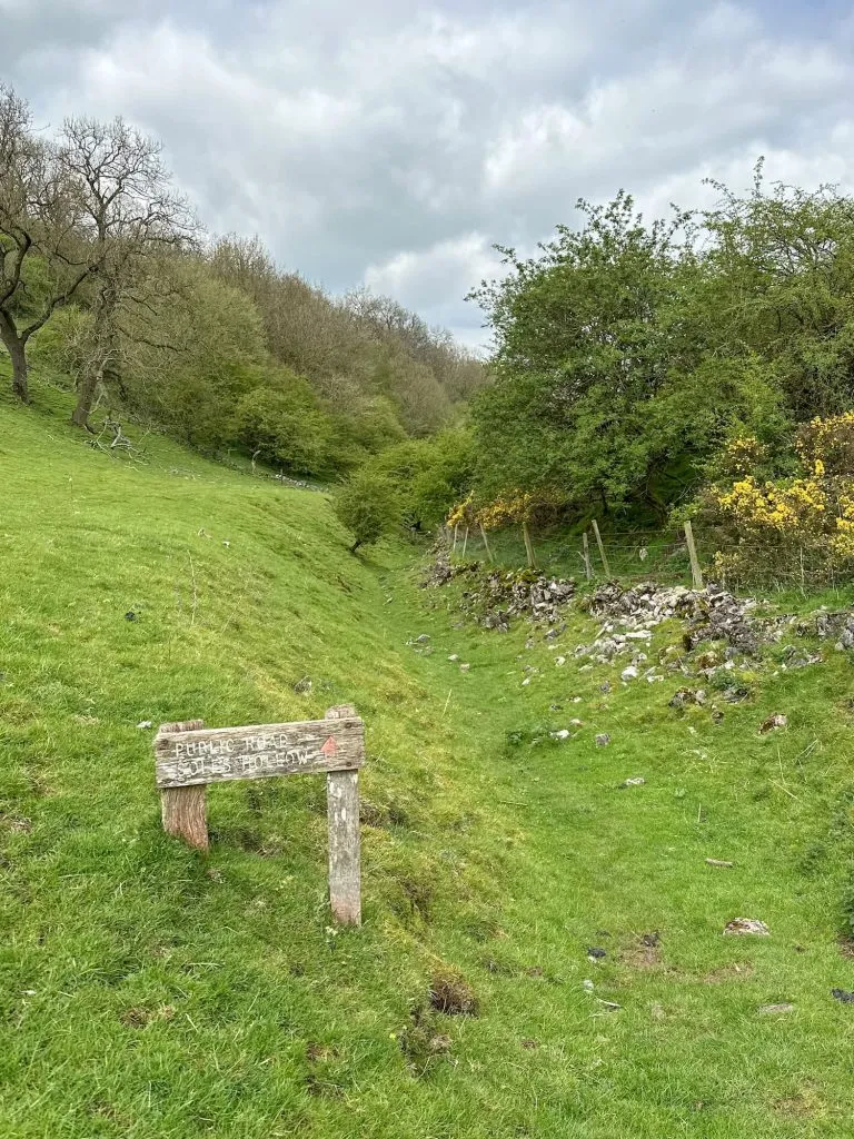 A wooden sign showing "Public Road, Soles Hollow" in front of a grassy track