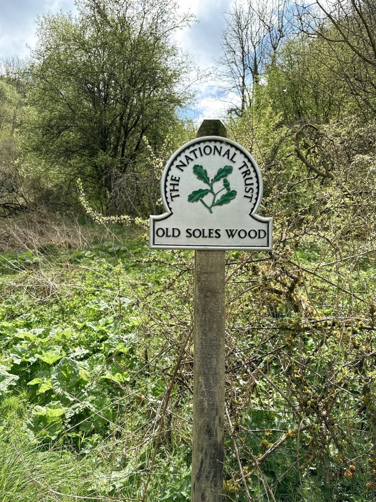 A National trust sign for Old Soles Wood with woodland in the background
