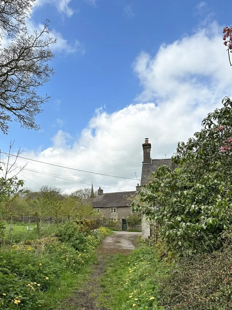 A pretty country lane with a cottage in the distance
