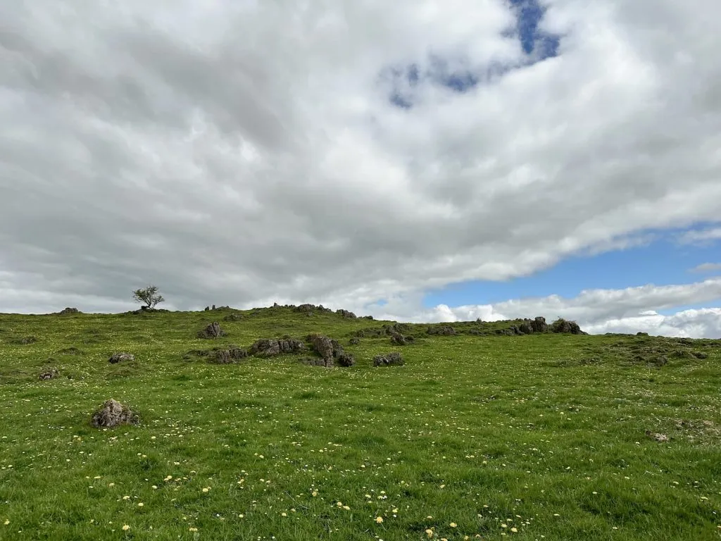 A Bronze Age burial cairn - some rocks in a green field! 