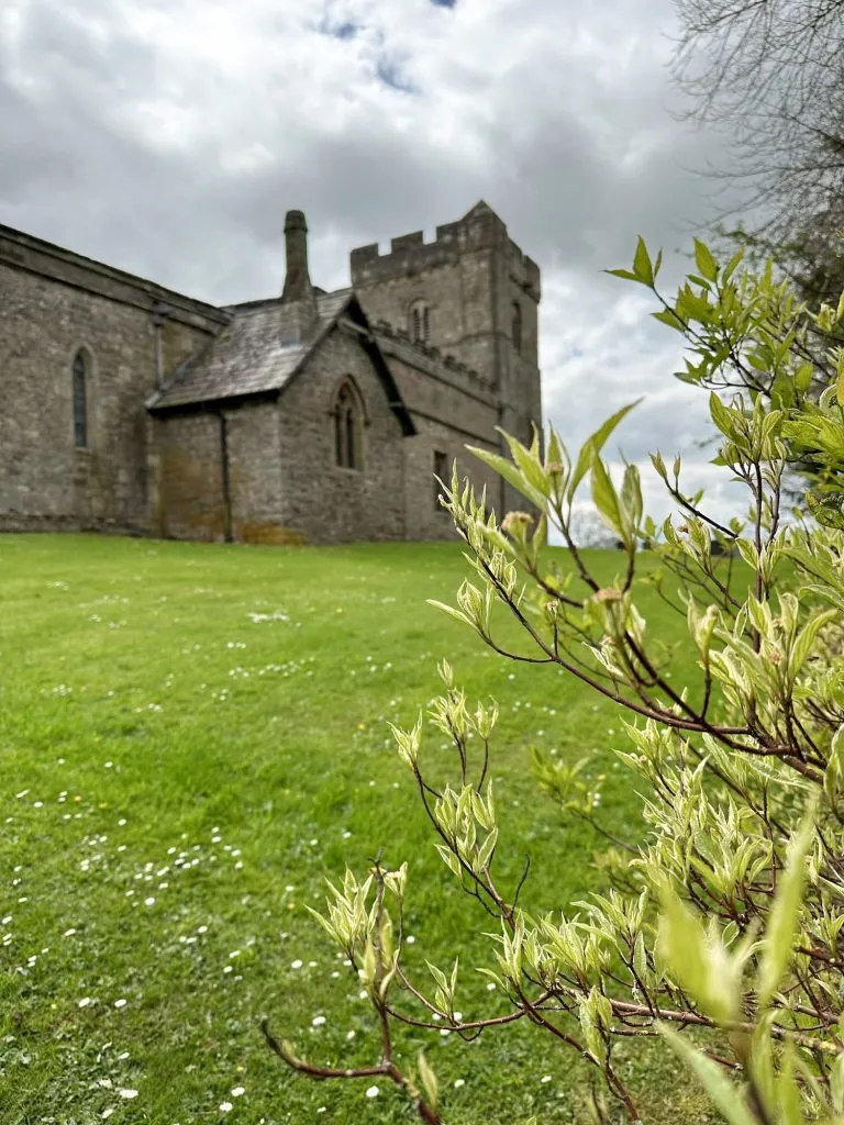 A stone church building in the background with a bush with buds on in the foreground