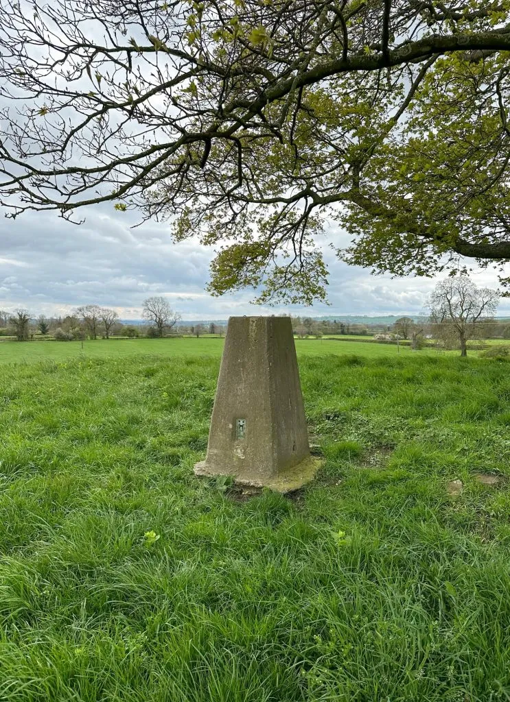 Wibben Hill trig point, a grey concrete pillar under a tree