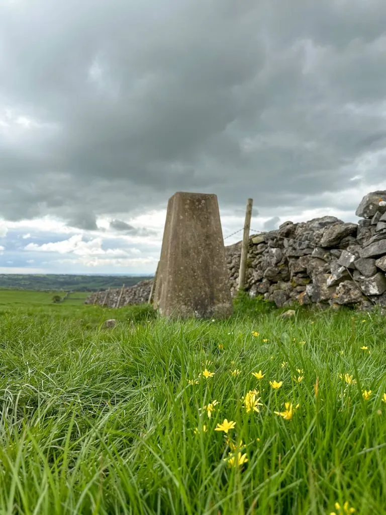 Blackstones Low trig point, a grey concrete pillar in a green field