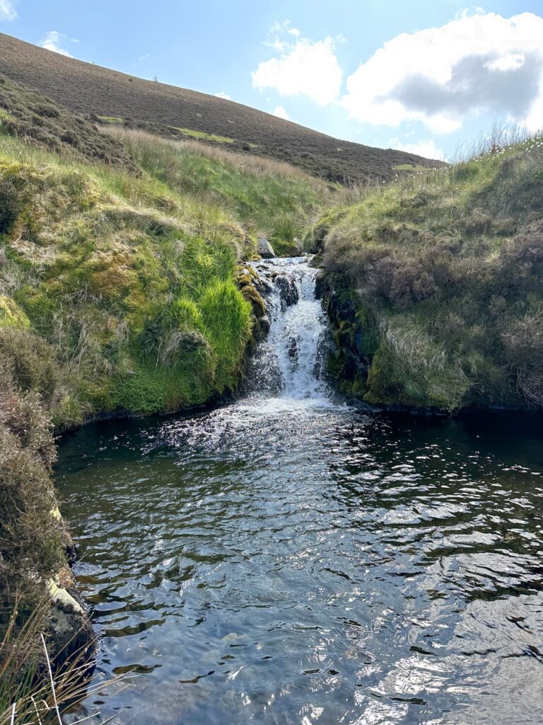 A small waterfall and pool