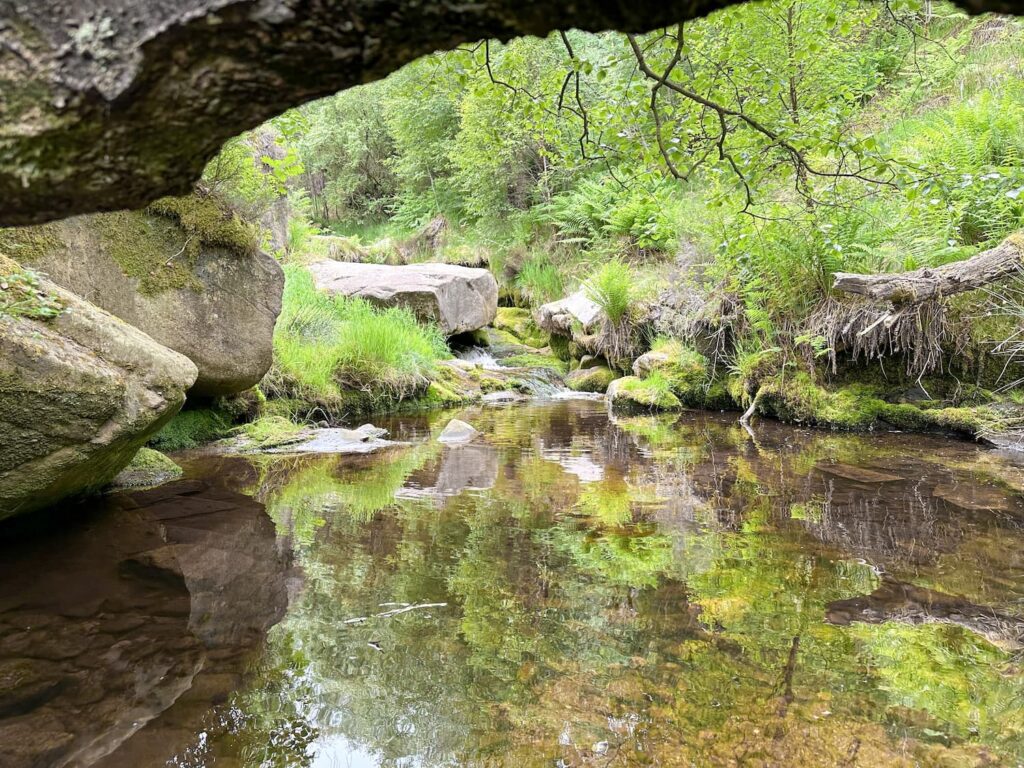 A reflective pool in a lush shady gorge