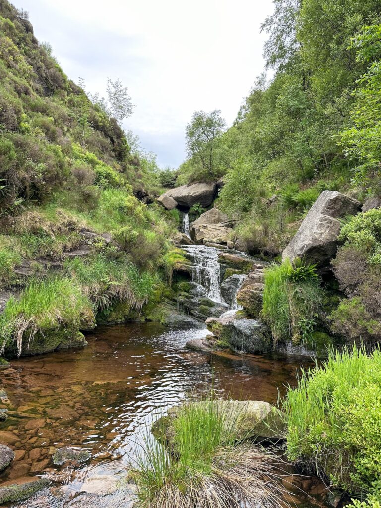 A waterfall with lush greenery