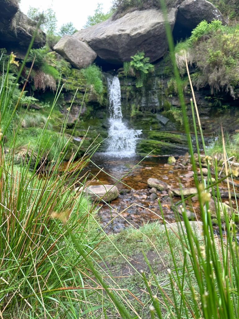 Near Black Clough waterfall, with lush greenery