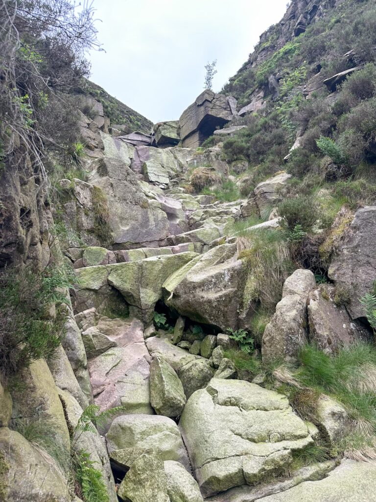 Shining Clough - a rocky ravine up onto Bleaklow