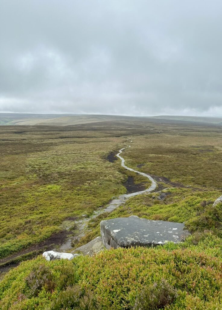 A windy path on the moors