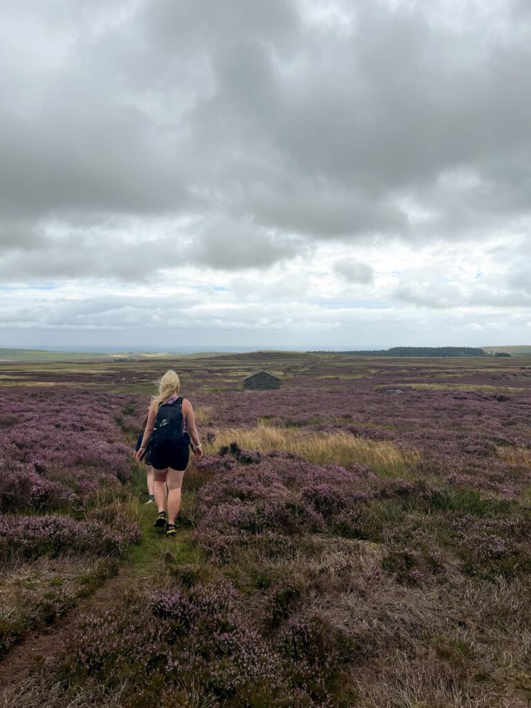 A woman walking on heather clad moors under a dark and brooding sky