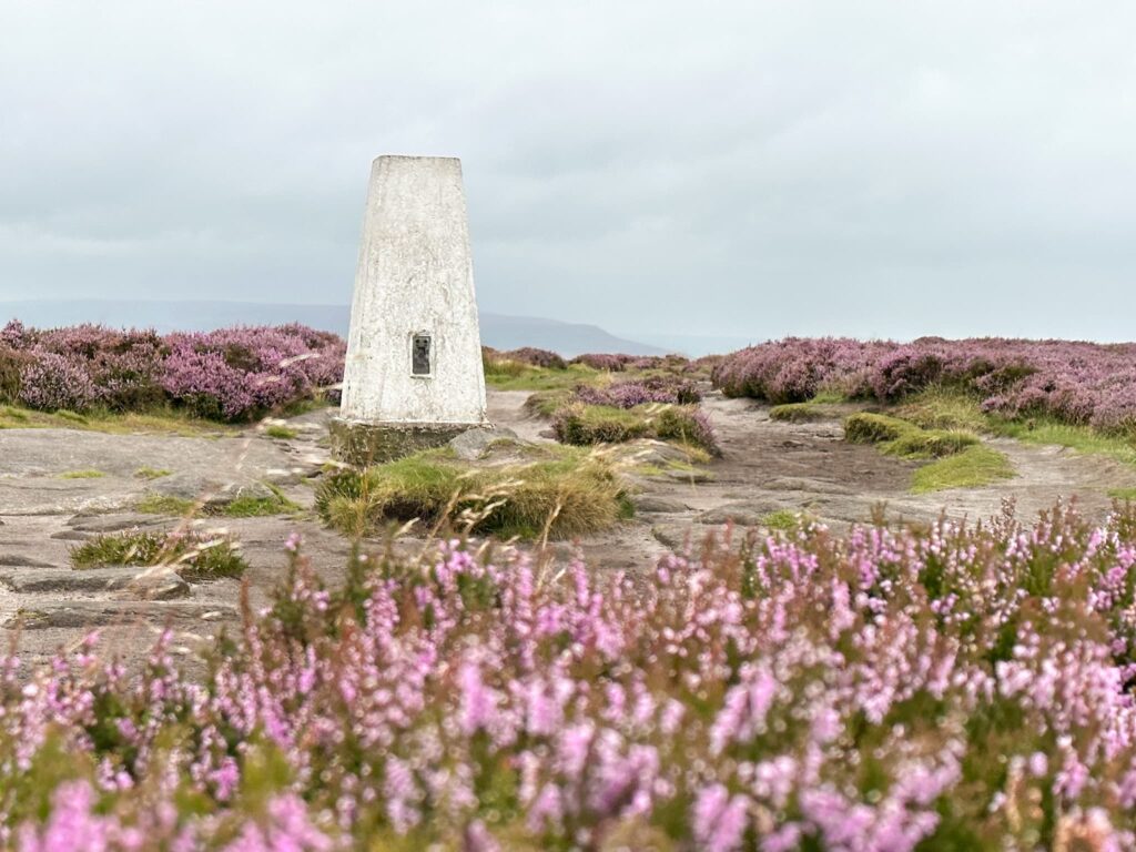 A white trig point at High Neb with purple heather in the foreground