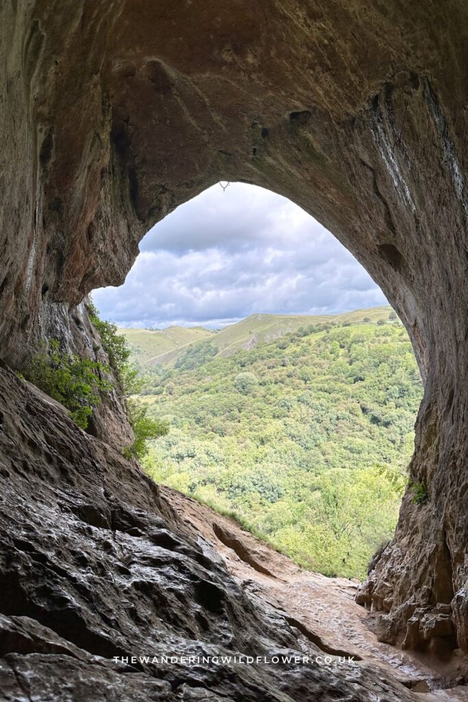 Pinterest image for Thor's Cave walk with Ecton Hill - The Wandering Wildflower