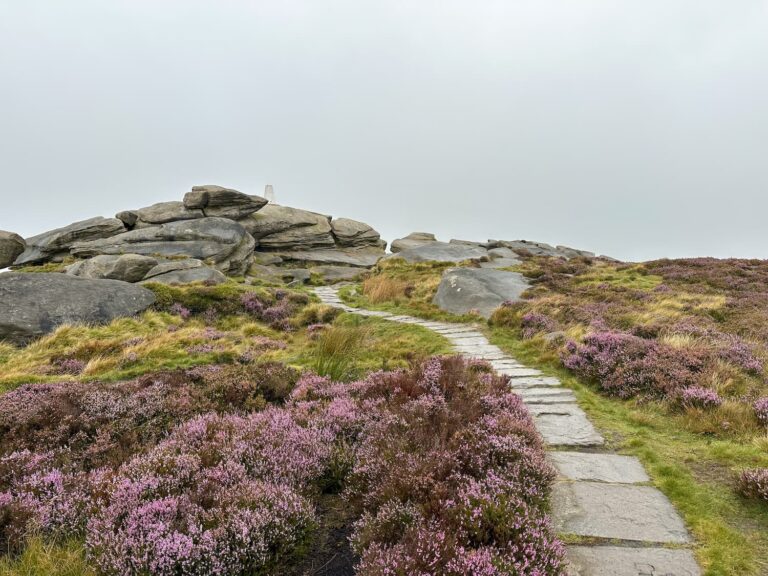 Back Tor trig point