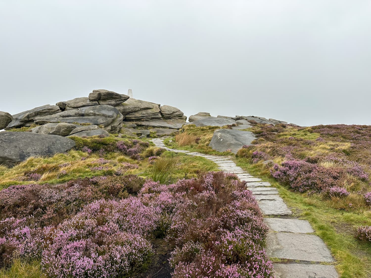 Back Tor trig point