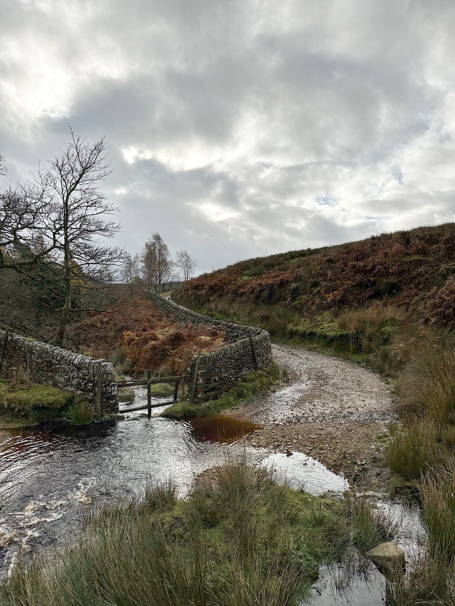 Langsett Reservoir and Langsett Moors Circular Walk | 5 Miles