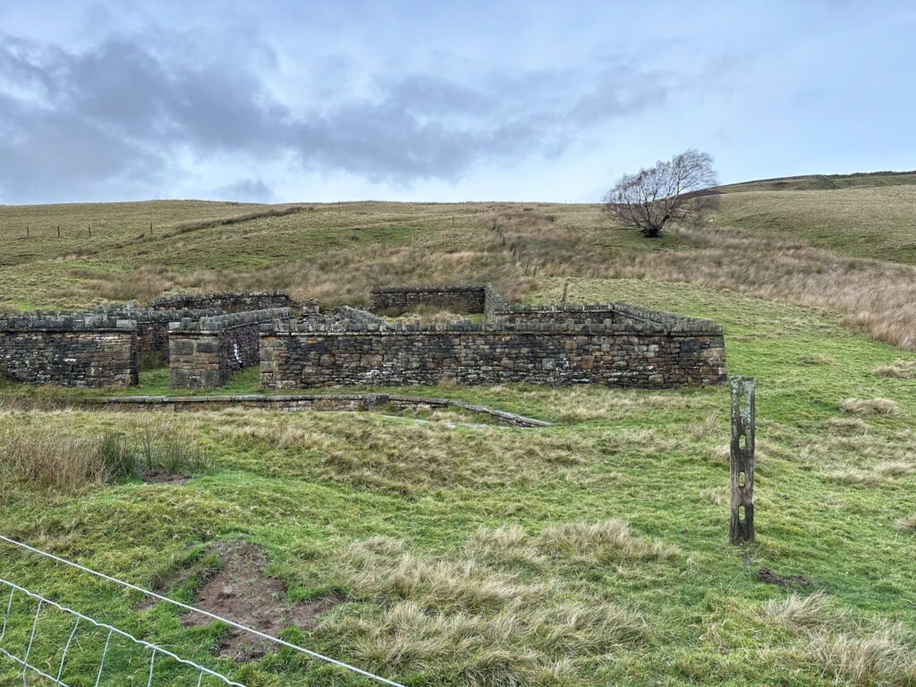 Hordron Sheep Fort, a fortified sheepfold