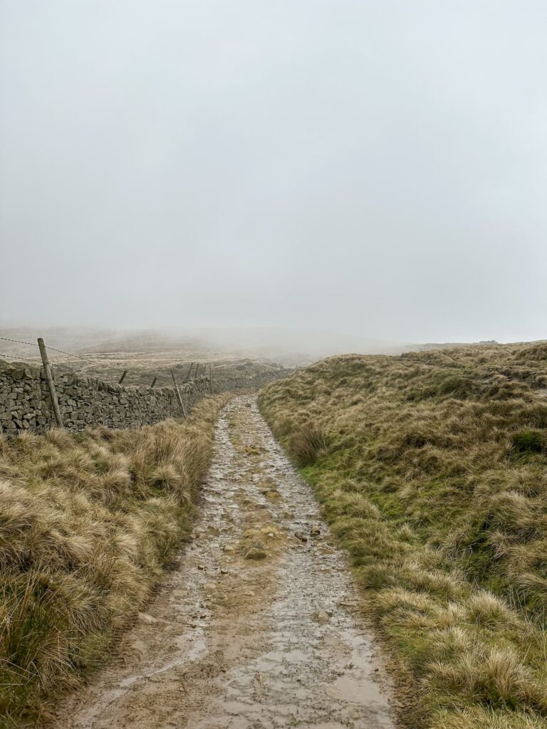A rough stony track leading to a misty horizon