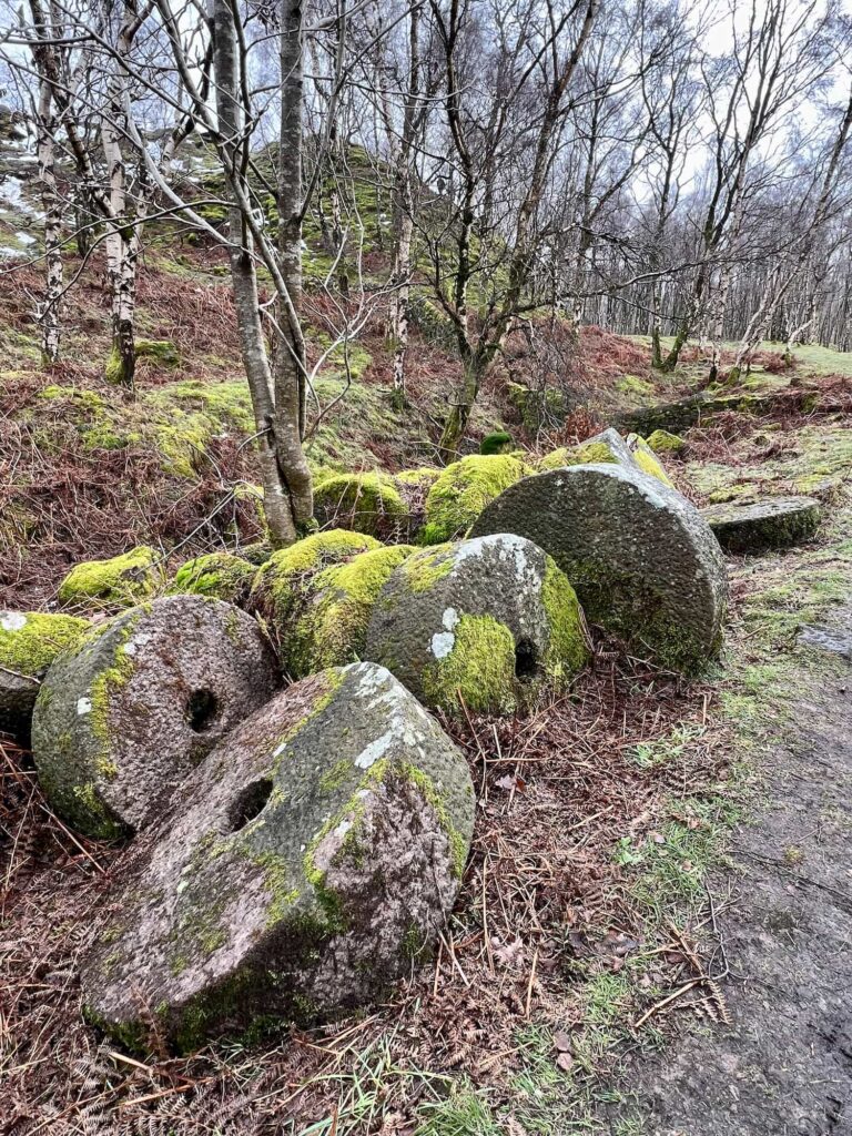 Some abandoned millstones in the woods at Bolehill Quarry