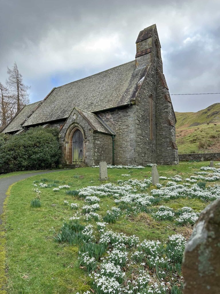 St Peter's Church, a small grey church building with snowdrops in full bloom in the foreground