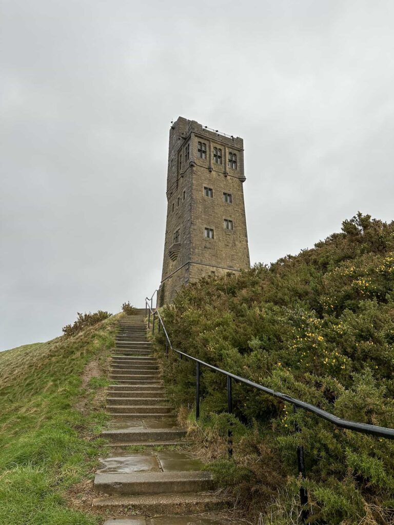 Stone steps leading up to Castle Hill, with the tower in the background