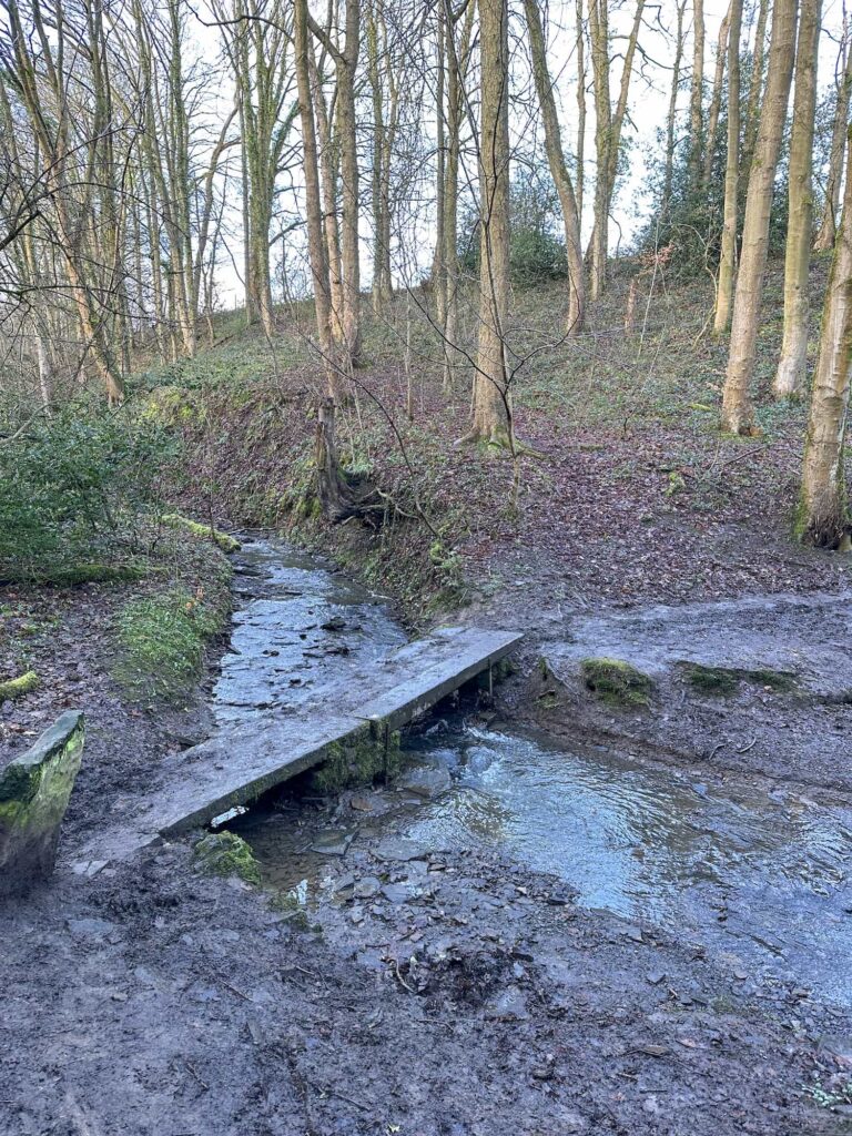 A very muddy stone bridge over a stream