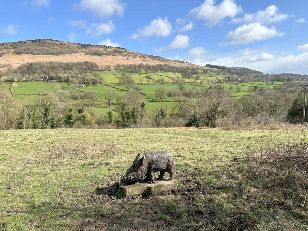 A wooden sculpture of a wild boar with Bamford Edge in the background