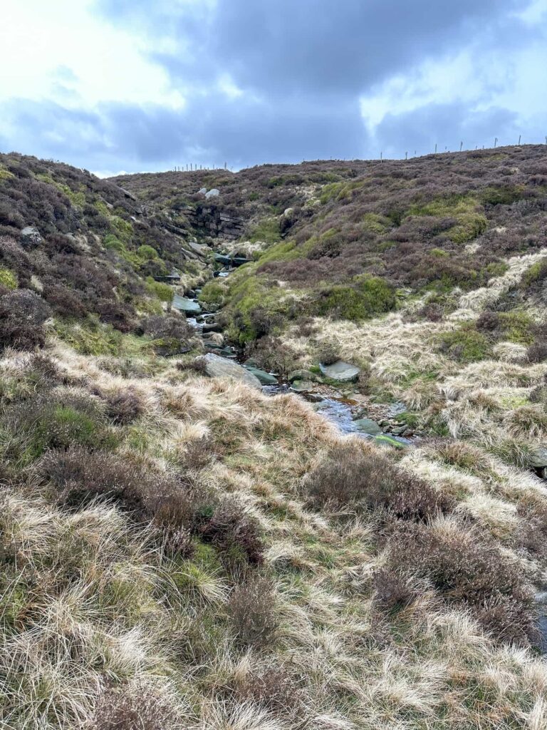 A stream at the top of Blackden Brook
