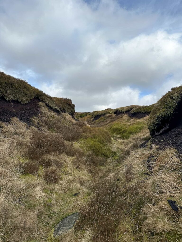 A moorland view of some peat groughs