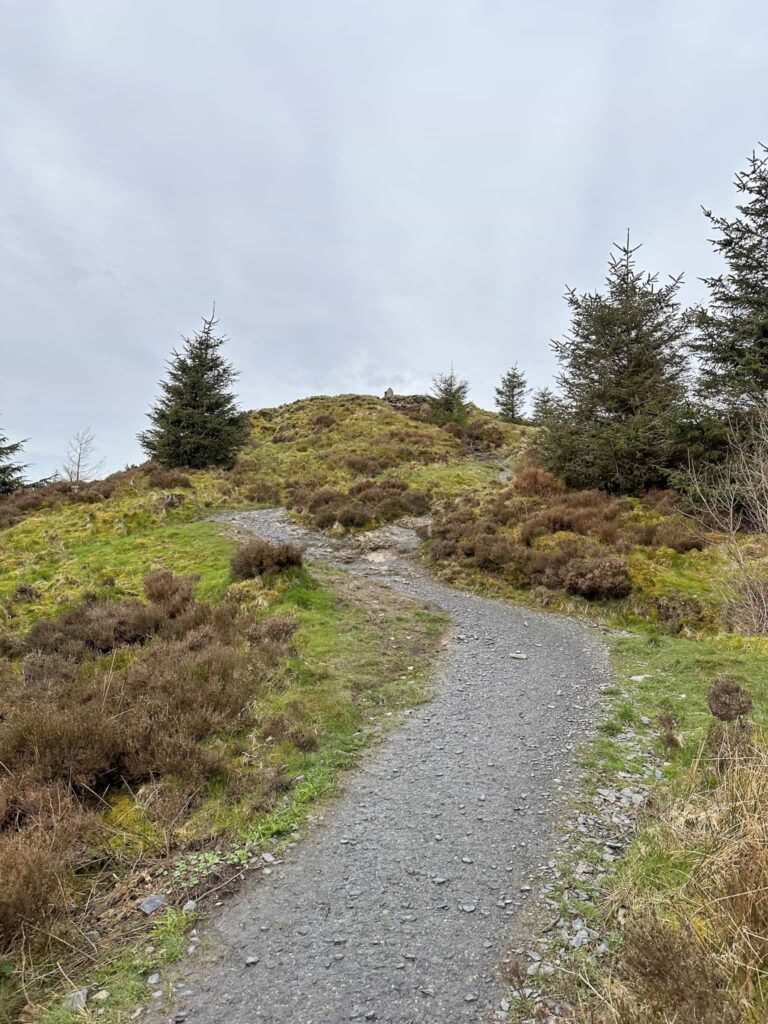 A path leading to Dodd fell summit