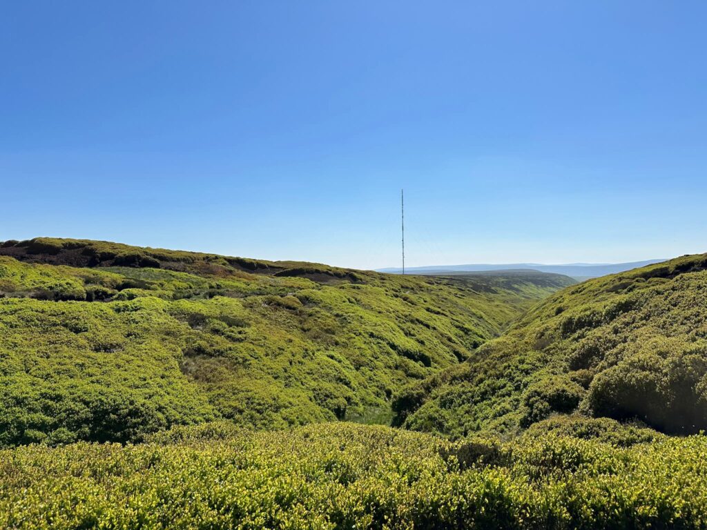 A view of the Holme Moss Transmitter on the moors