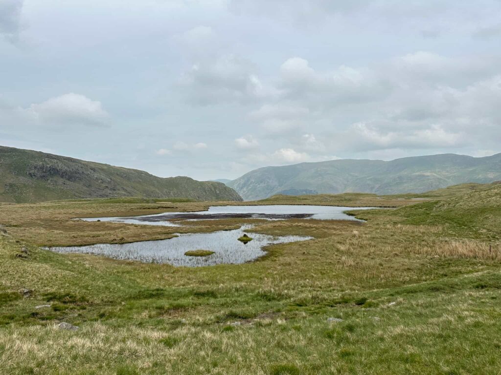 Some moorland pools known as tarns