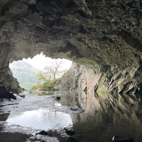 A view out of the cave mouth from the inside