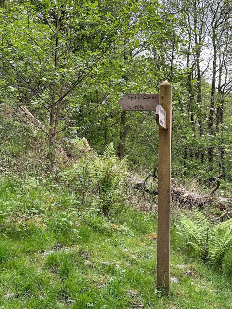 A wooden sign post