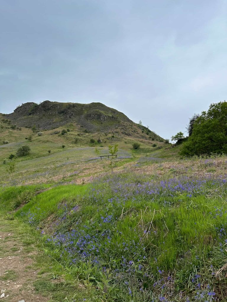 A view of Loughrigg Fell with a moody sky and bluebells in the foreground