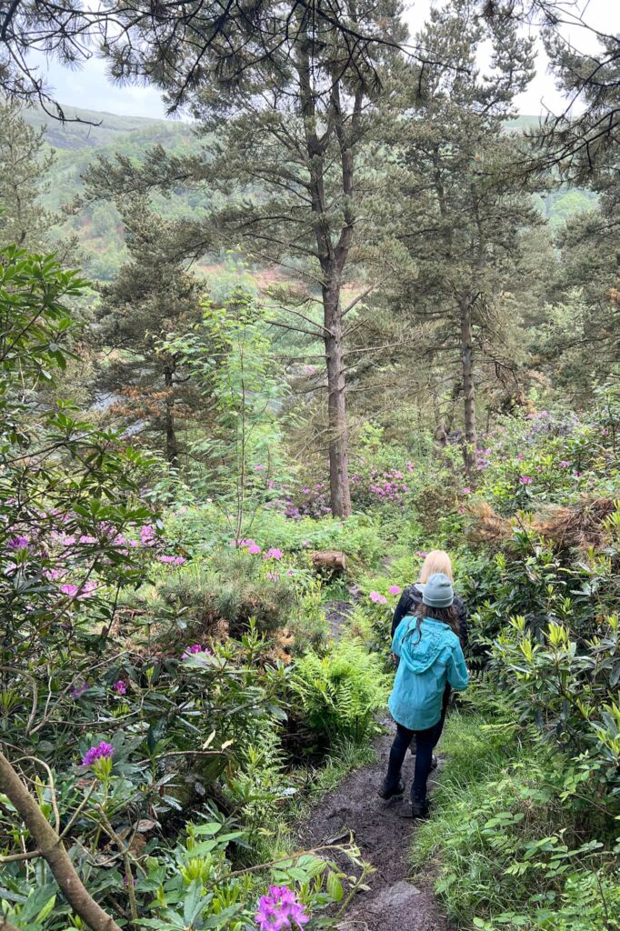 A woman and her daughter walking through some woodland