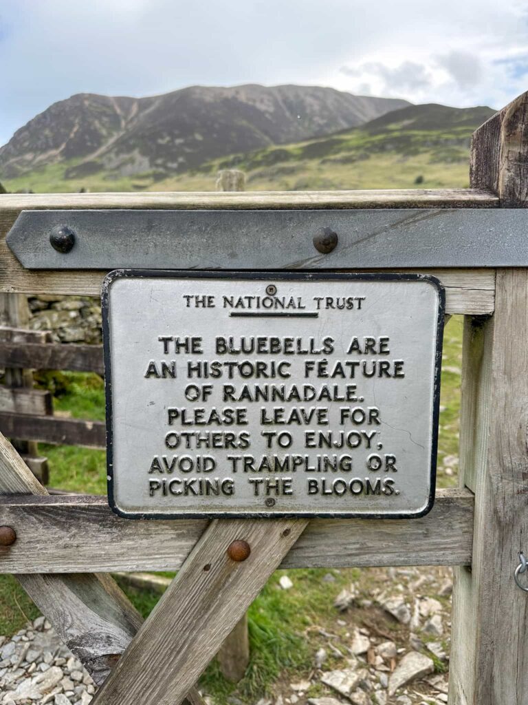 A white enamel sign with black text saying "The bluebells are a historic feature of Rannadale. Please leave for others to enjoy. Avoid trampling or picking the blooms"
