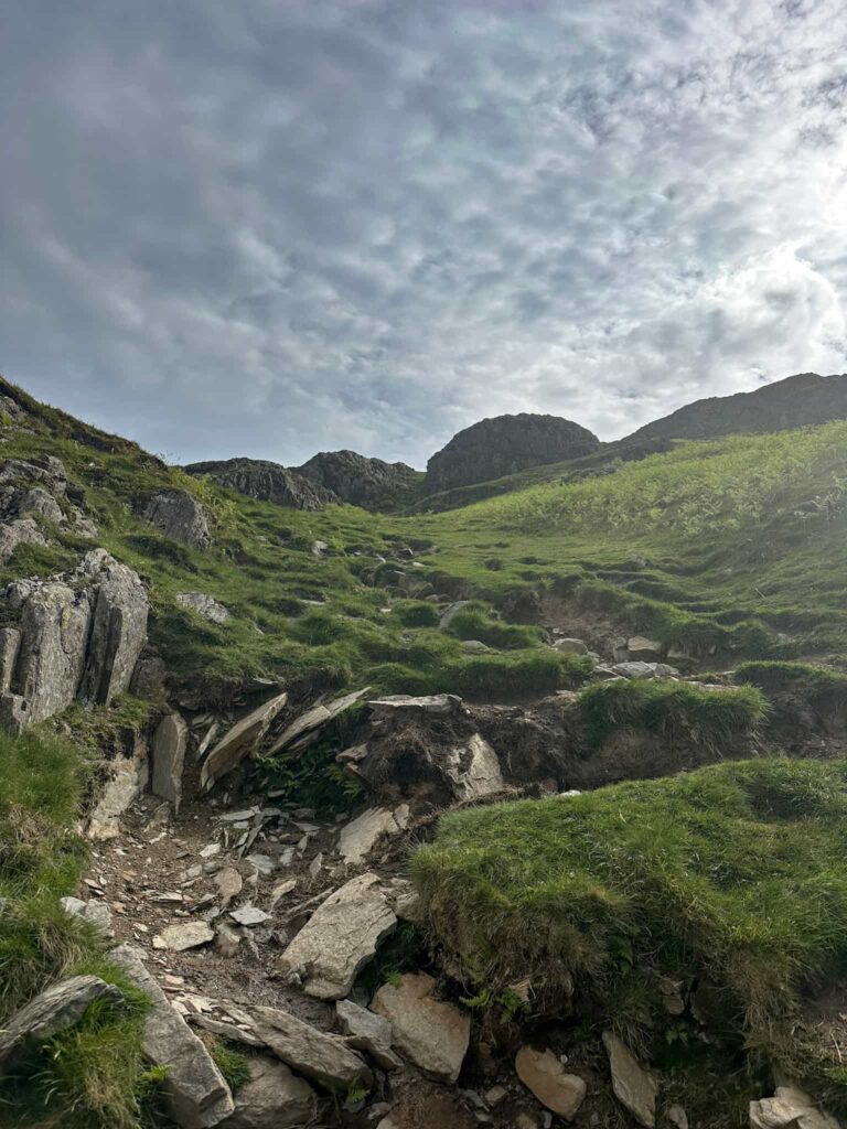 The path up to the summit of Rannerdale Knotts