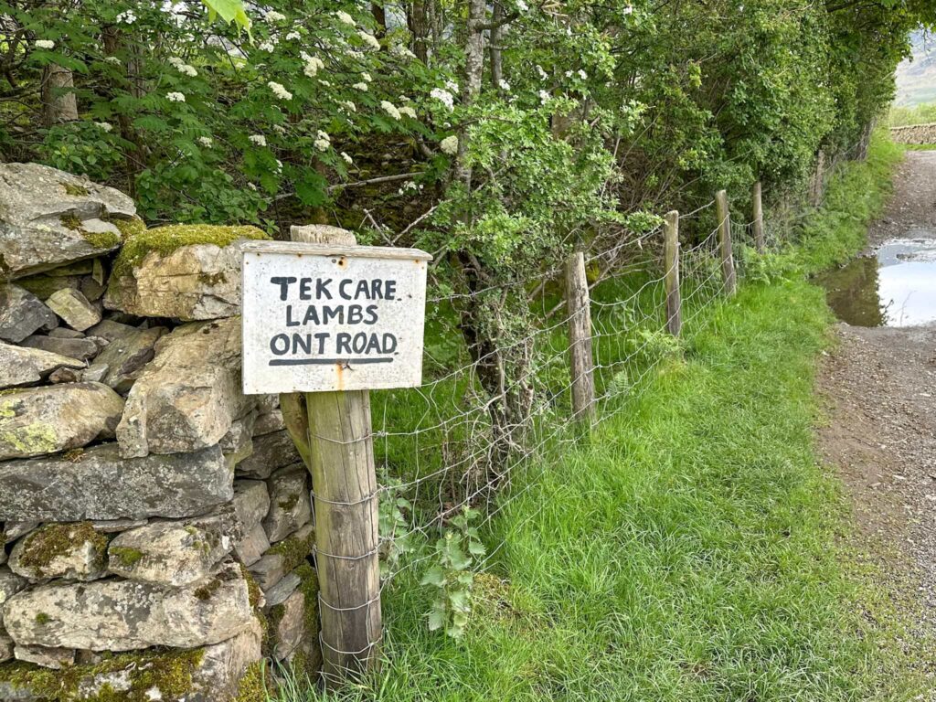 A white wooden sign with hand written text "Tek Care, Lambs Ont Road"
