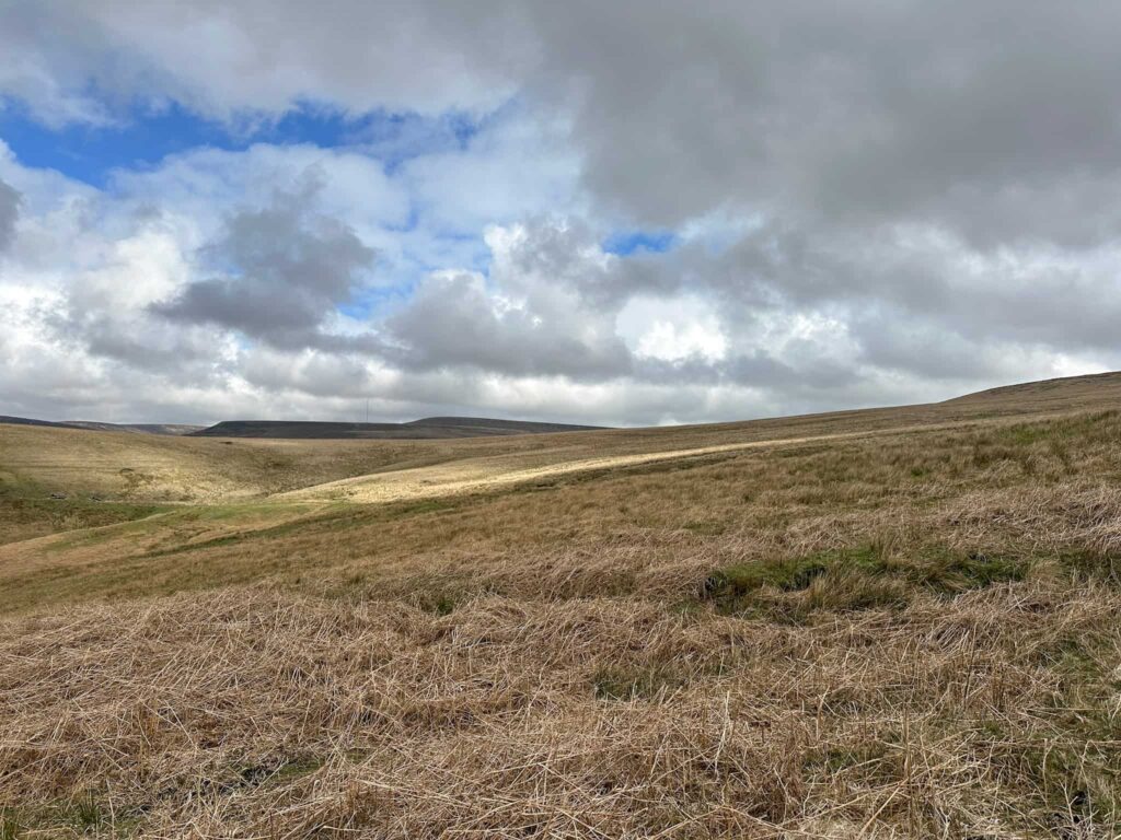 A wild, moorland view