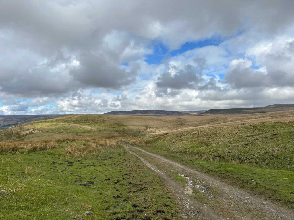 A farm track leading across the moors