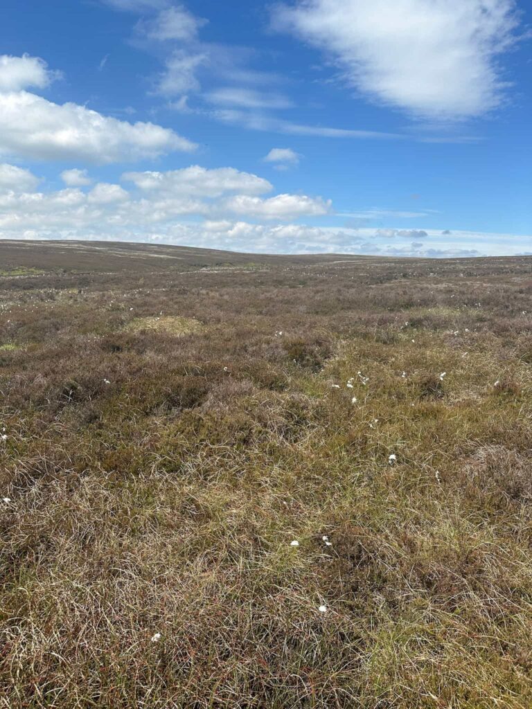 Bleak, expansive moorland