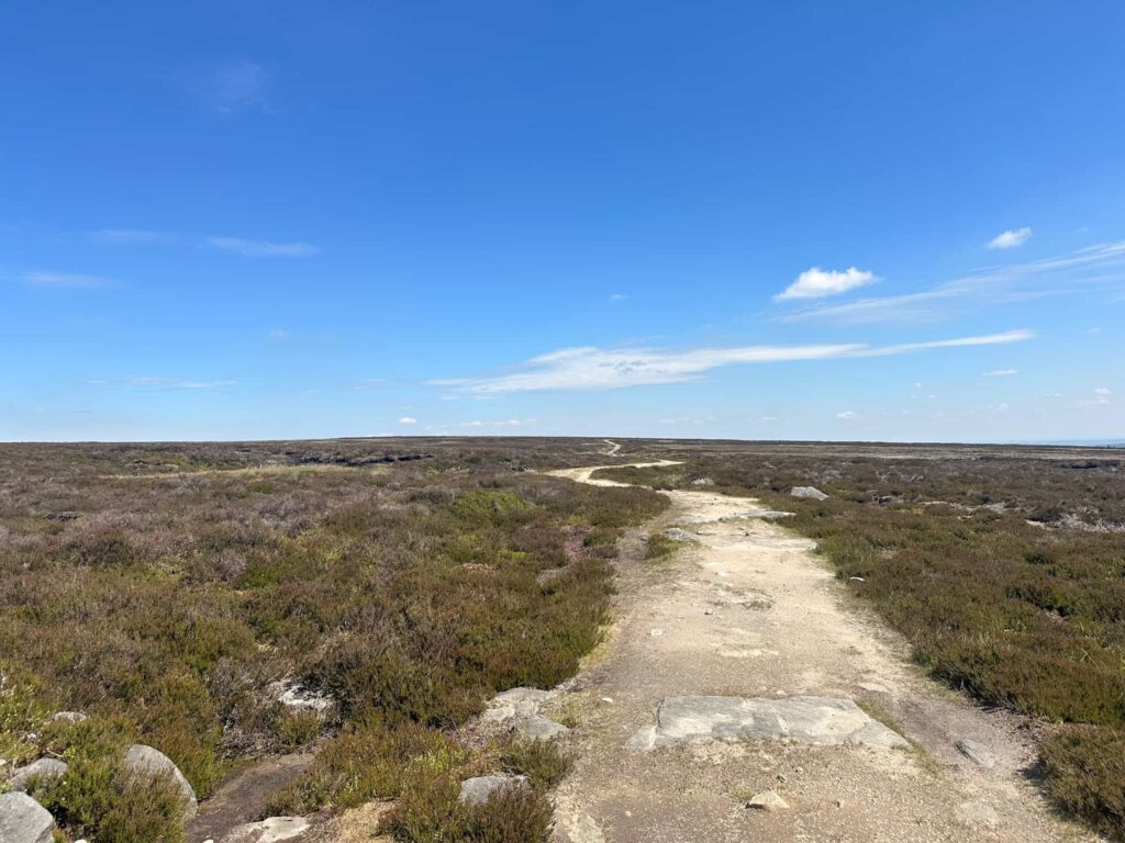 A sandy track on the moors