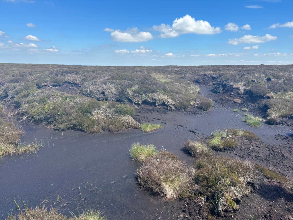 A peat bog on the moors